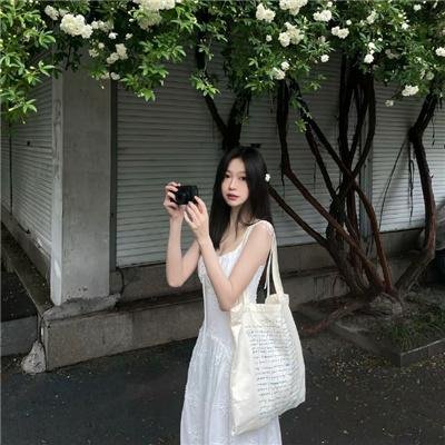 山茶花飘零